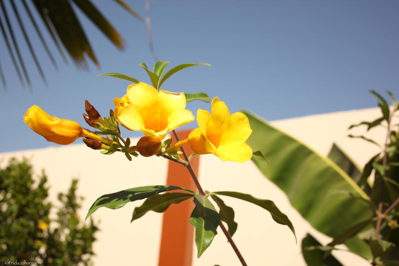 Dabo House Hotel Brufut ภายนอก รูปภาพ